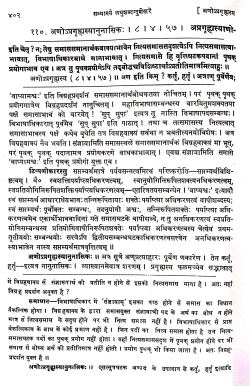 Laghusabdendusekhar ( panchasandhyantobhag)